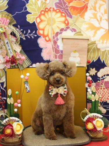 20240121ココアくん